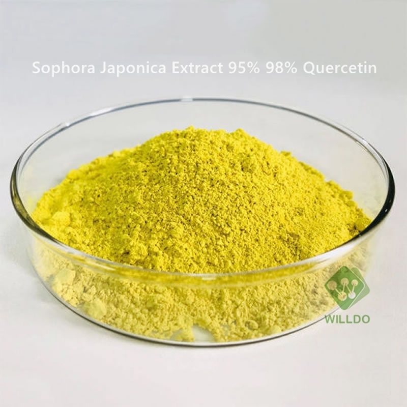 Professional Extract Manufacturer Sophora Japonica Extract 95% 98% Quercetin