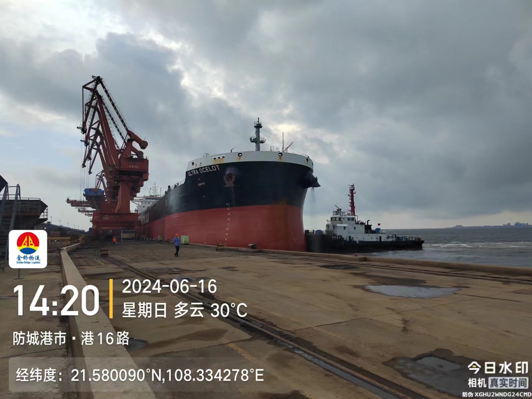Strategic Partnership to Address Rising Sea Freight Costs